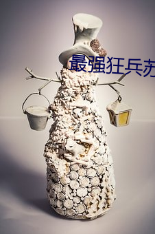 最强狂兵苏锐