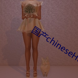 国产chineseHD天美传媒