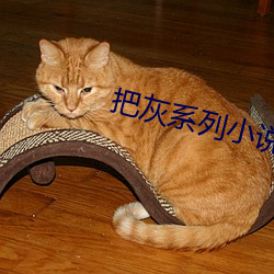 米乐M6·(中国)官方网站