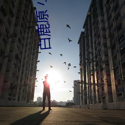 白鹿原 小说