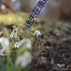 尊龙凯时·(中国)官方网站