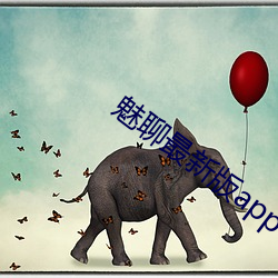 魅聊最新版app下載