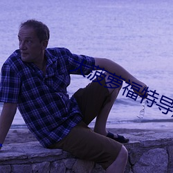 大(大)菠萝(蘿)福特导航(航)影(影)院