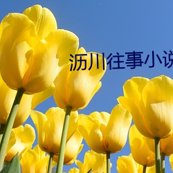 米乐M6·(中国)官方网站