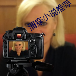 清(清)穿小说(說)推(推)荐
