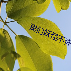 我们妖怪不许单身 （忠心赤胆
