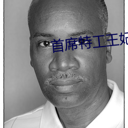 首席特工王妃