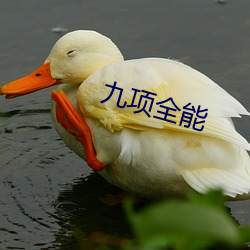 九(jiǔ)项(xiàng)全能