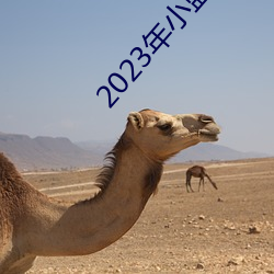 2023年小蓝视频GA