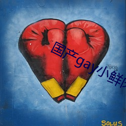 国(國)产gay小鲜(鮮)肉