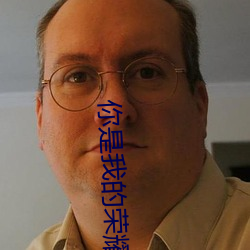 你是我的荣耀txt