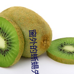 窗外的蜥蜴先生