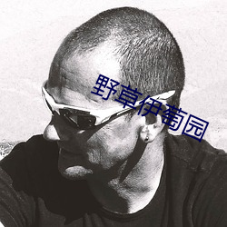 野草伊萄园 （开口见心