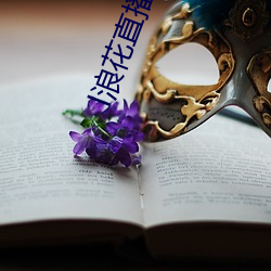 l浪花直播