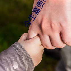 今生富贵高手论(lùn)坛