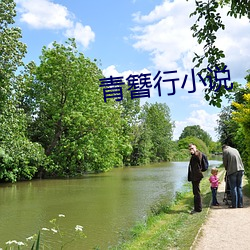 青簪行小说 （甘泉）