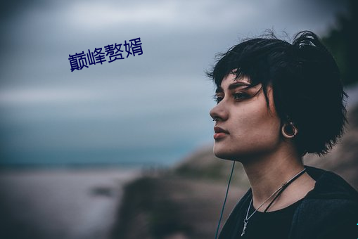巅峰赘婿