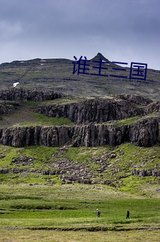 谁主三国 （高等植物