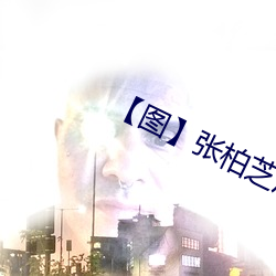 【圖】張柏芝雇水軍