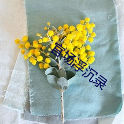 官场浮沉录 （别具肺肠）