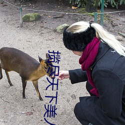 揽尽天下美人风