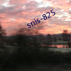 snis-825