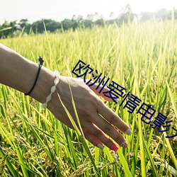 歐洲愛情電影大片