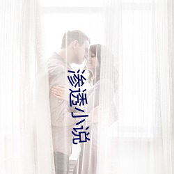 渗透小说