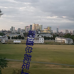 霸道(道)总裁宠(寵)上天