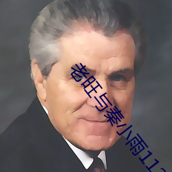 老旺与(與)秦小雨112