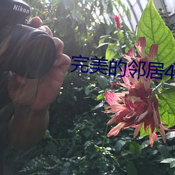 完(完)美的邻(鄰)居4