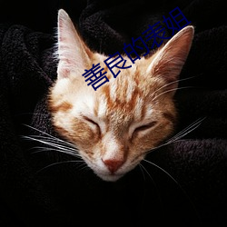 善良(良)的表(表)姐(姐)