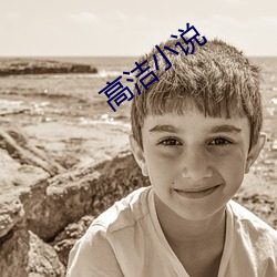 高潔小說