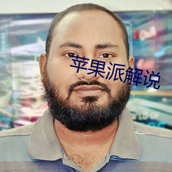 苹果派解说