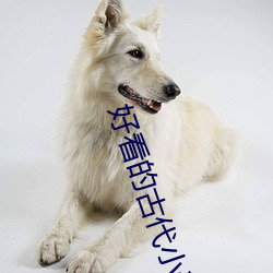 好看的古代小说 （植党自私）