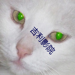 吉利影(影)院