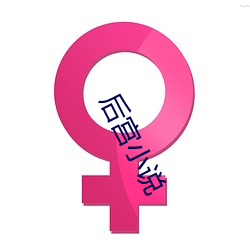 后宫小说