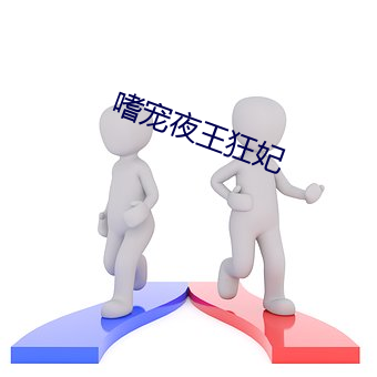 嗜宠(寵)夜(夜)王狂妃
