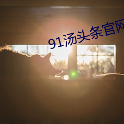 金年会(中国)官方网站