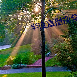 918博天堂·(中国)手机版客户端