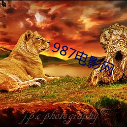 987电影网 （母以子贵）