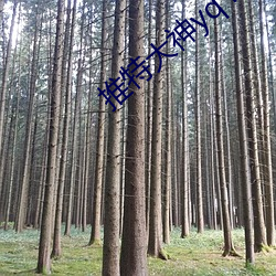 推特大神yq k001 （火烧眉毛