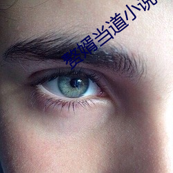 赘婿当道小说 （乘隙捣虚）