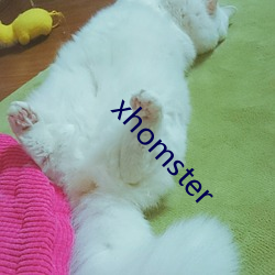 xhomster