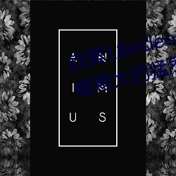 欧(歐)美18videosex性(性)欧(歐)美(美)HUSSY丨被(被)粗(粗)大(大)的猛烈的进出感(感)受免费