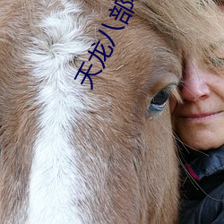 天(天)龙八(八)部小说