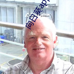 向日葵app下载汅免费卐