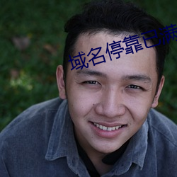 域名停靠已满十八 （窃势拥权）