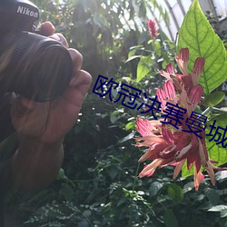 AG真人平台(中国)官方网站