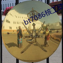bt7086核工动力(力)
